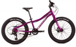 Велосипед Merida Matts J.20+ Pro (2023) - фото