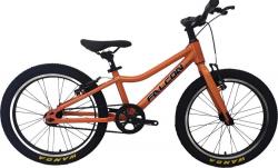 Велосипед Falcon Bike Fly 1.0 20" (2024) - фото