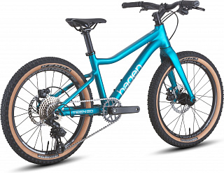 Велосипед Hagen Teen 20 R (2025) - фото