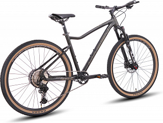 Велосипед Hagen Queen 10 (2025) - фото