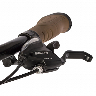 Велосипед STINGER CALIPSO EVO 28" (2021) - фото