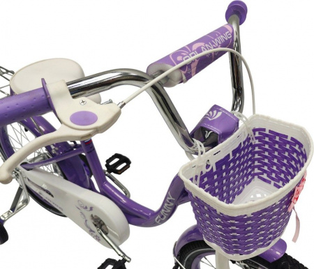 Велосипед Falcon Bike Funny 20 (2025) (Велосипед FALCON BIKE 20" FUNNY фиолетовый хамелеон, сталь, 20-ST-FUNNY-VT)