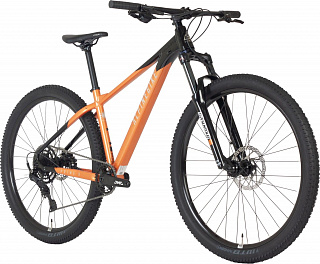 Велосипед Alpinebike Prime 9 (2025) - фото